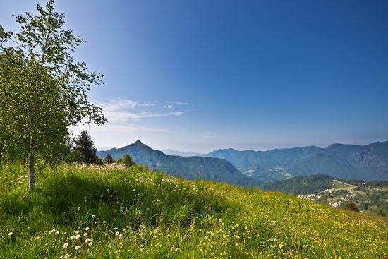 La Natura E poi, ho la natura e l’arte e la poesia, e se questo non è sufficiente, che cosa posso volere di più?Vincent van Gogh  